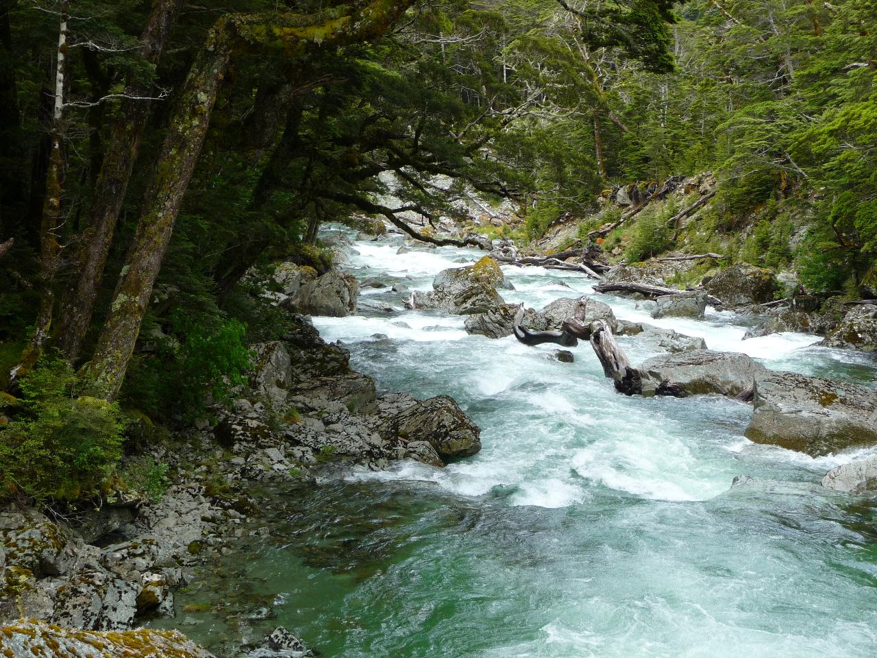 Routeburn Guided Walk Full Day - Photo 1 of 6